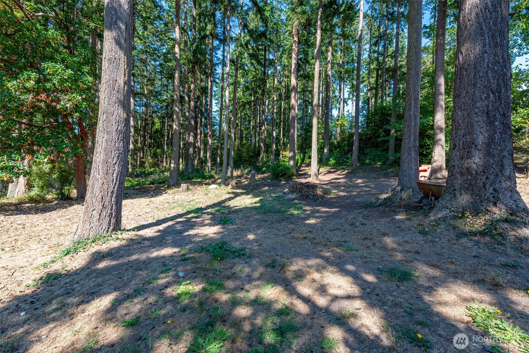 2439 Loerland Lane Property Photo 34