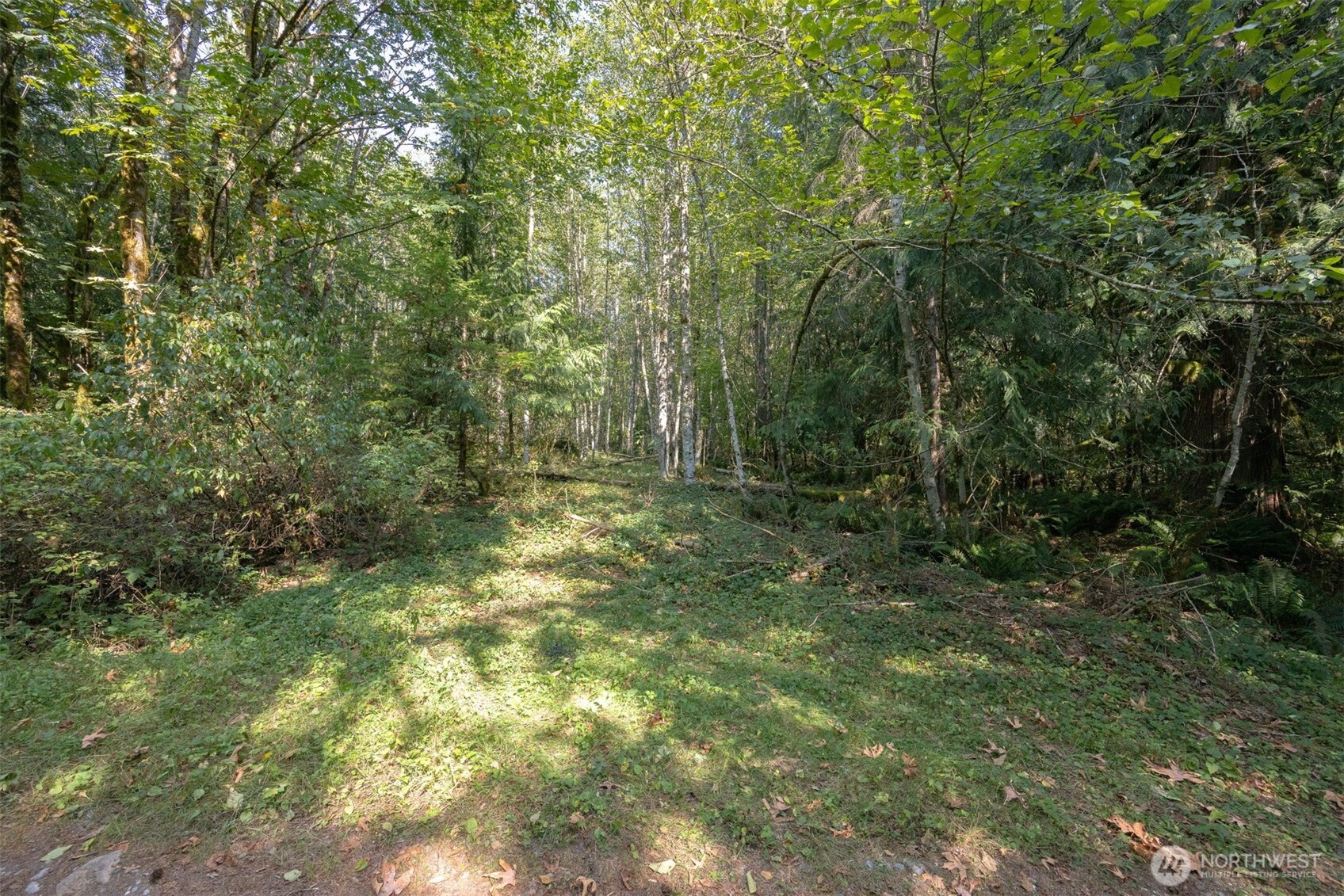 0 Ambridge Road Property Photo 4