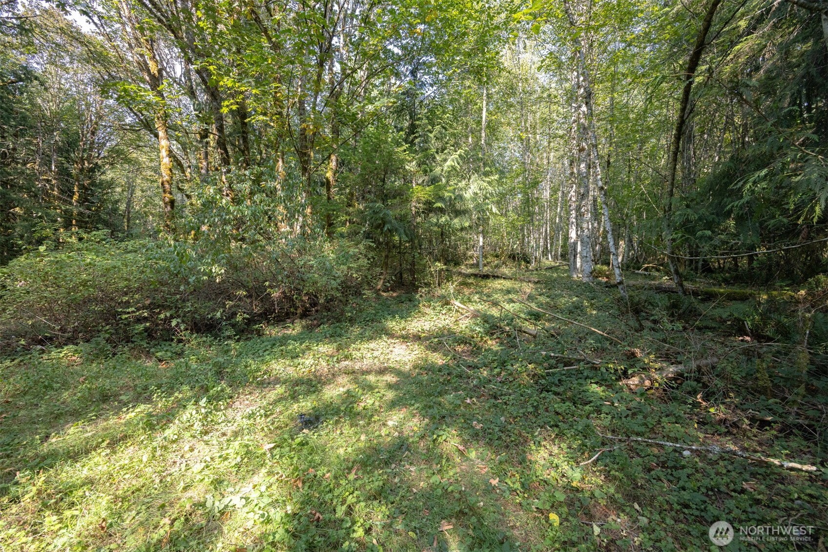 0 Ambridge Road Property Photo 7