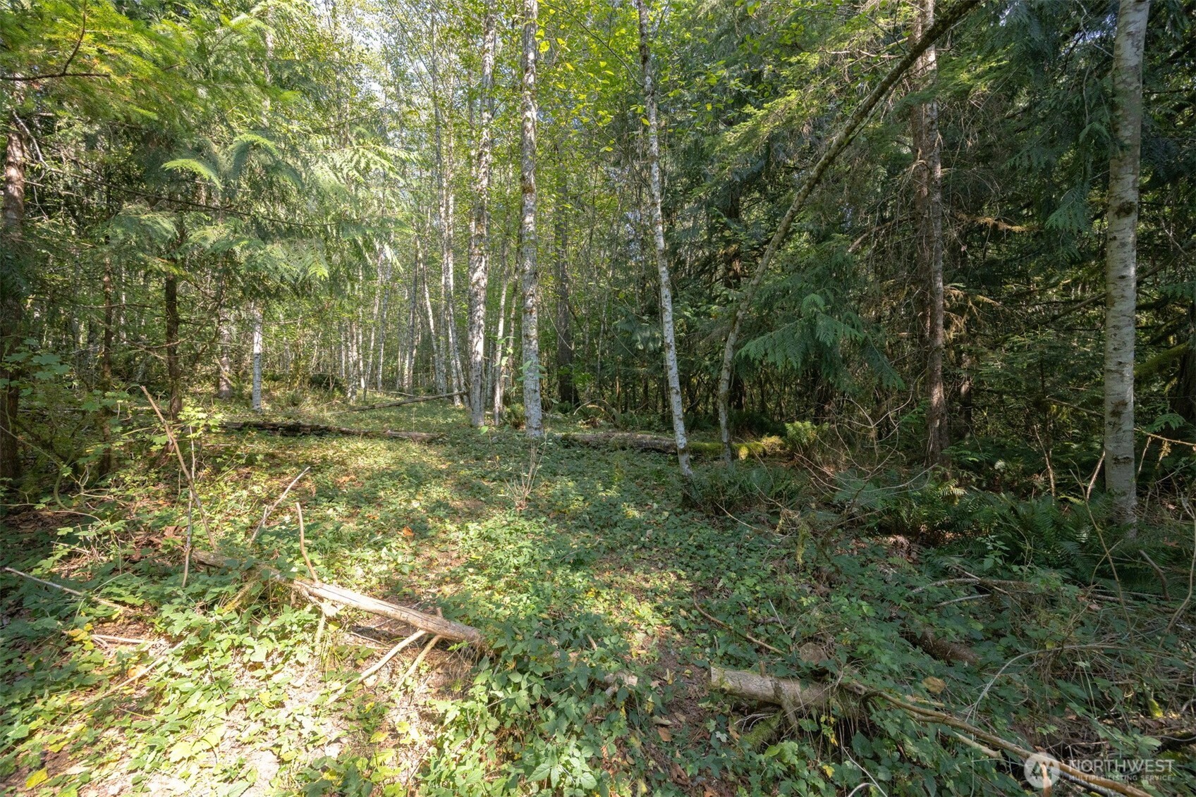 0 Ambridge Road Property Photo 8