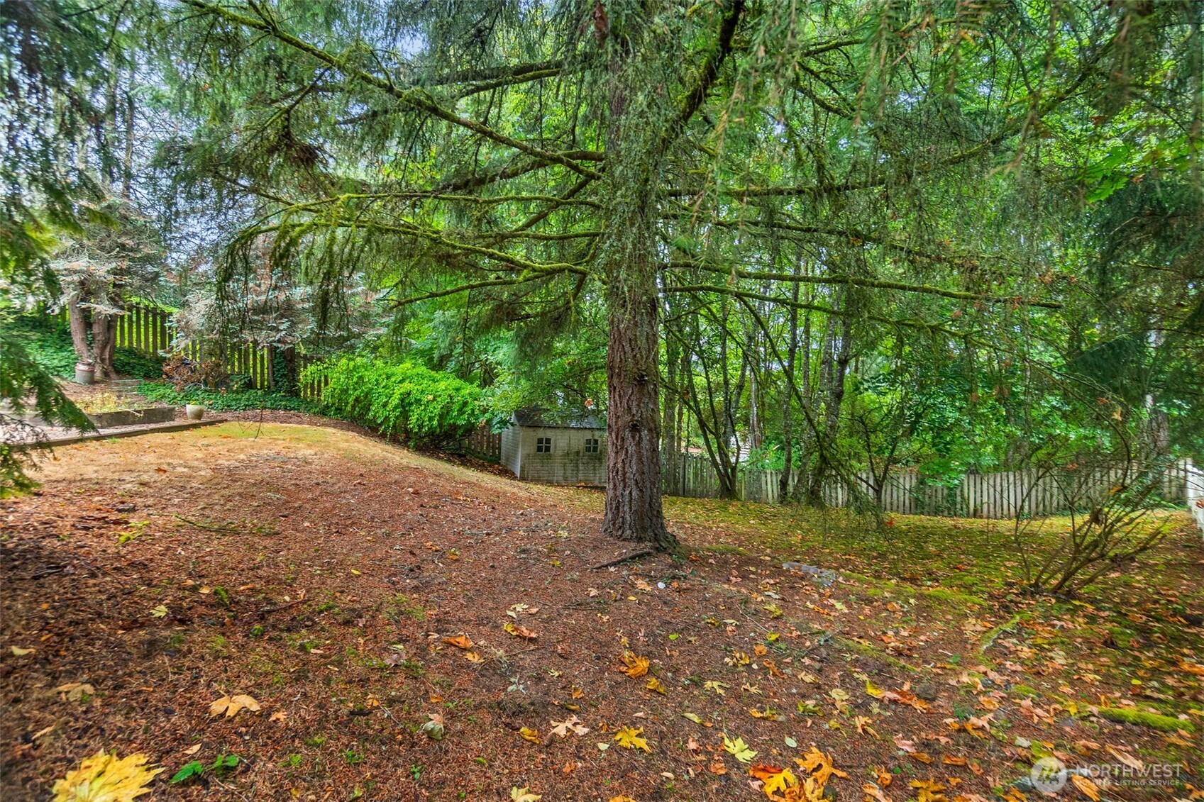 3203 Woodland Drive Property Photo 31