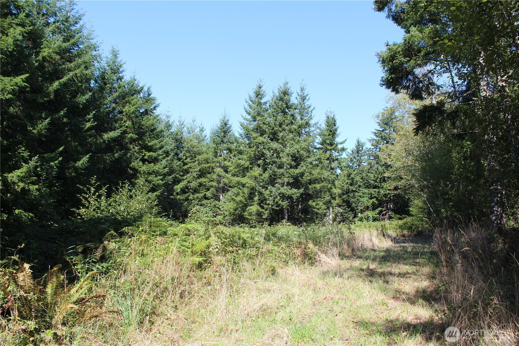 0 Lot G Ravenwood Drive Property Photo 2