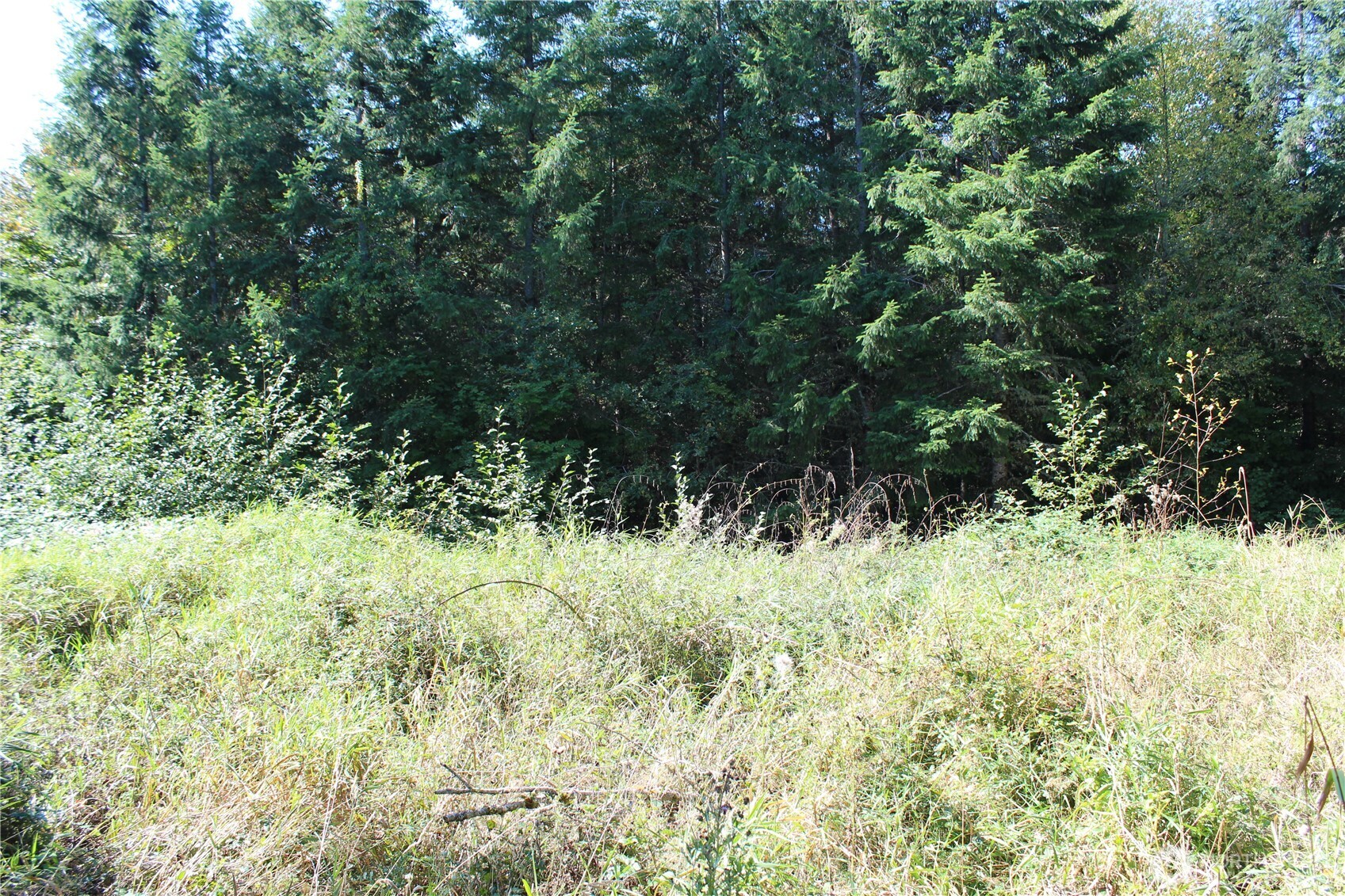0 Lot G Ravenwood Drive Property Photo 3