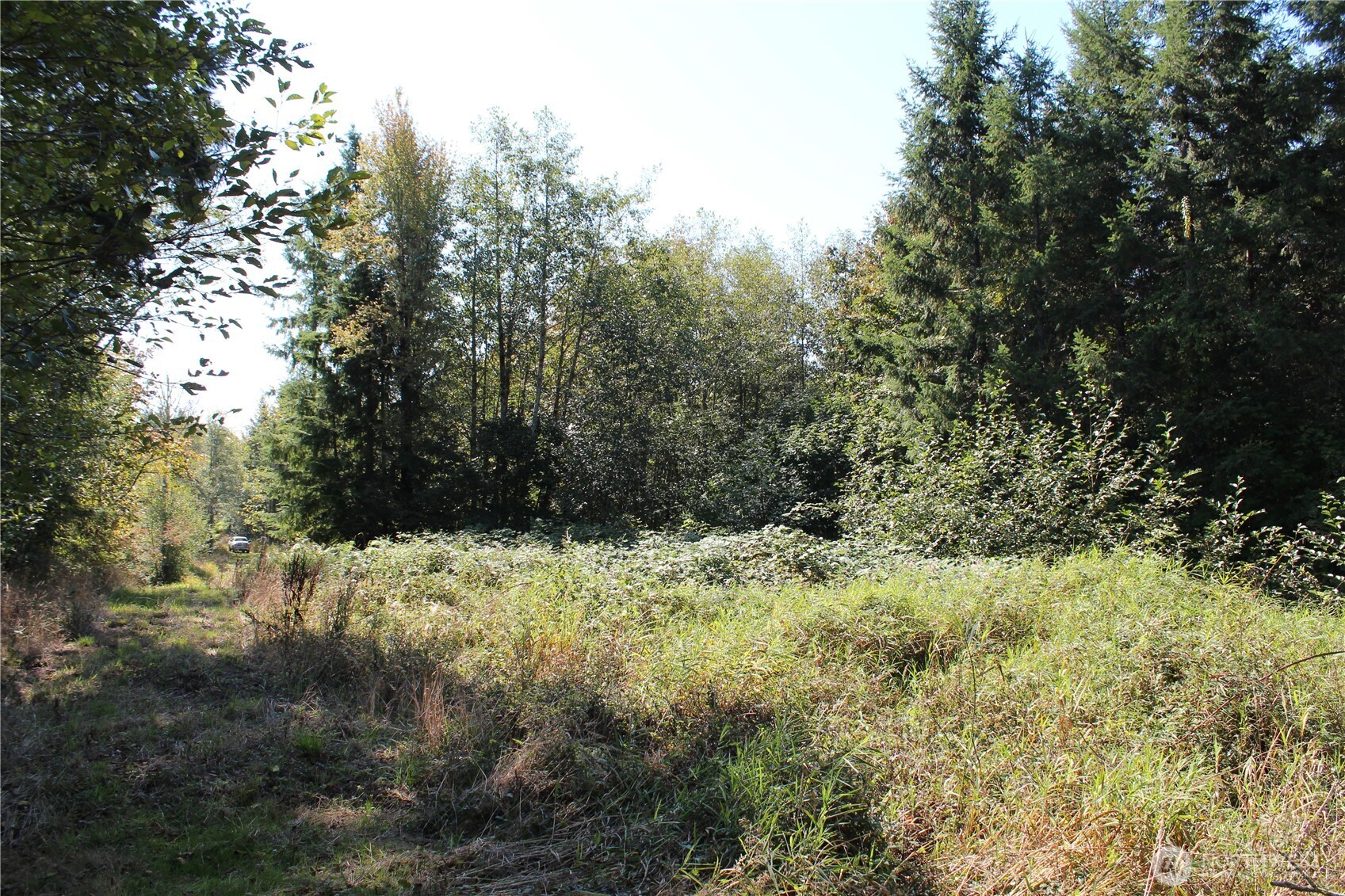 0 Lot G Ravenwood Drive Property Photo 4