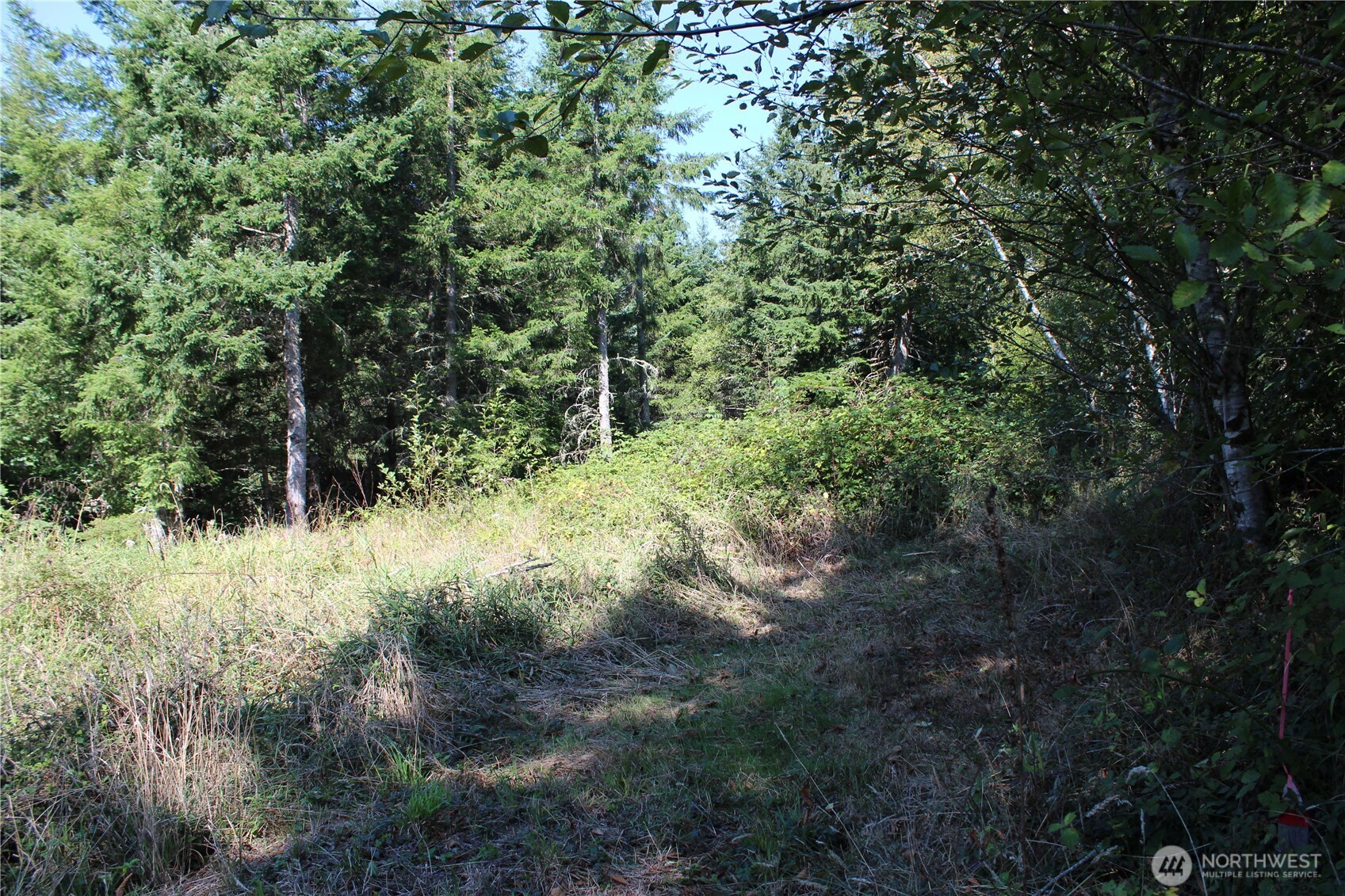 0 Lot G Ravenwood Drive Property Photo 5