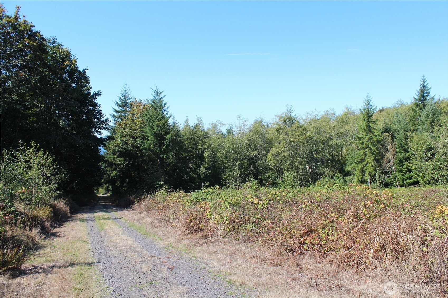 0 N Lot K Bodine Road Property Photo 1