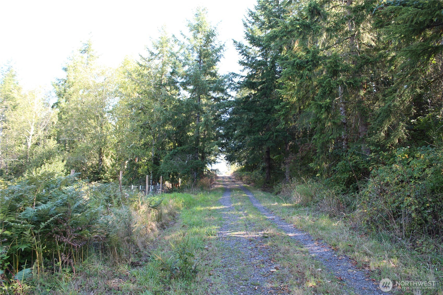 0 N Lot K Bodine Road Property Photo 2