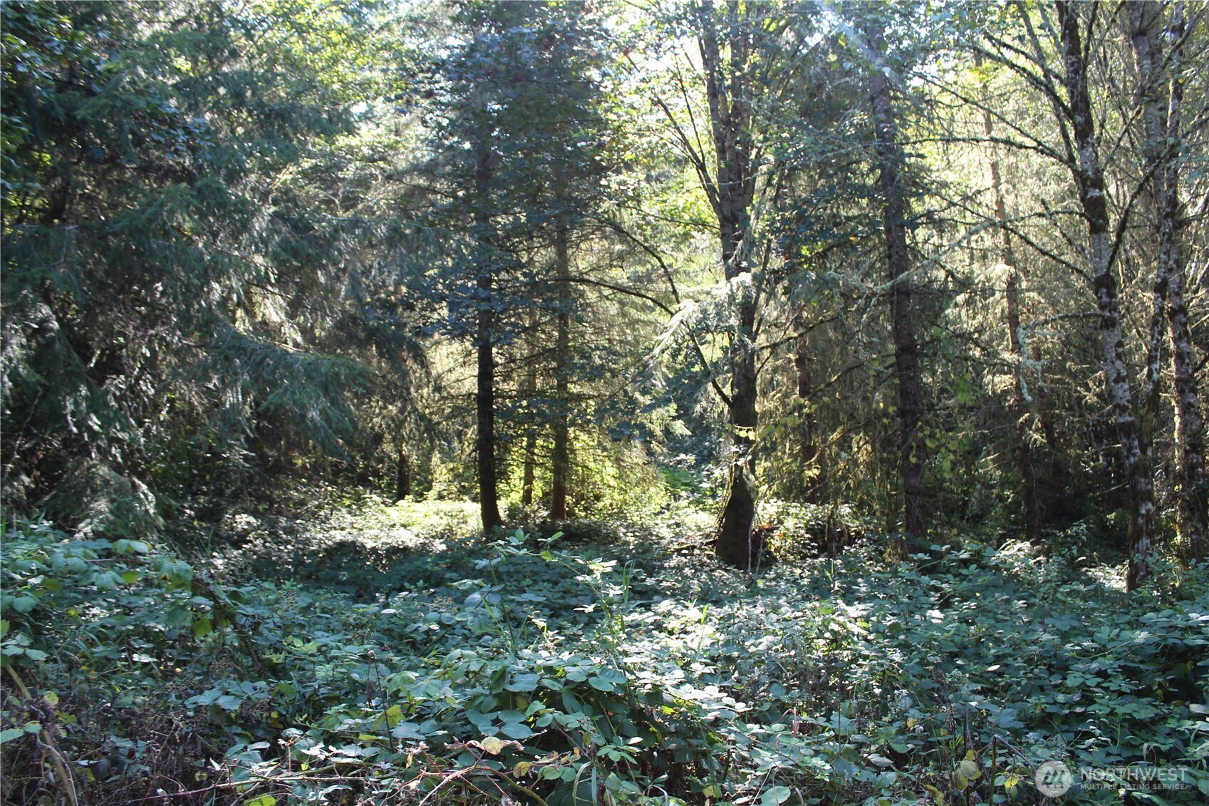 0 N Lot K Bodine Road Property Photo 3