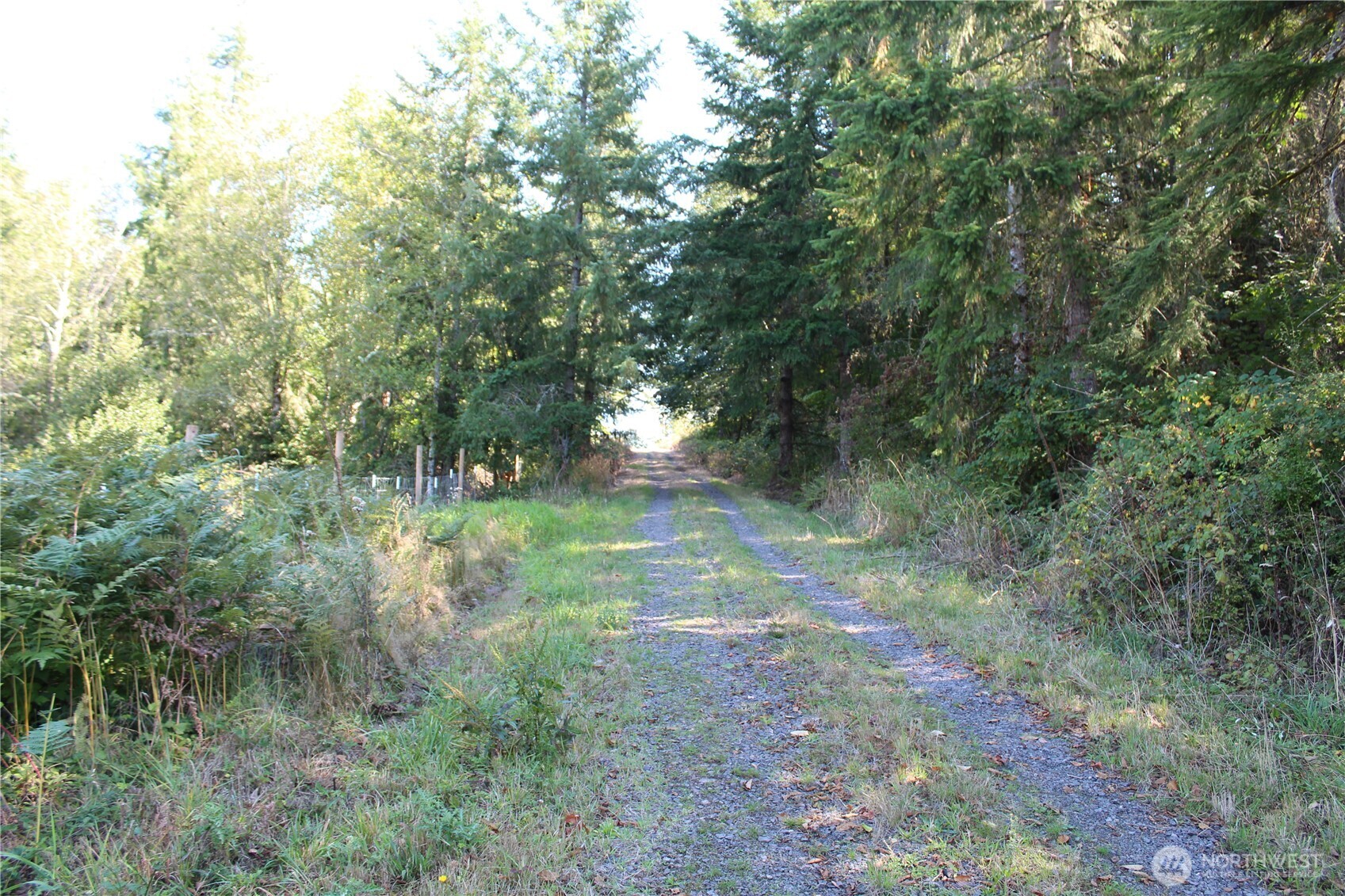 0 N Lot K Bodine Road Property Photo 12