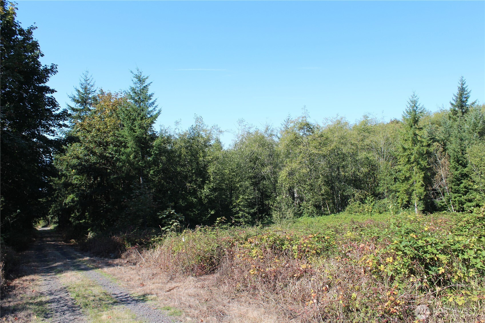 0 N Lot K Bodine Road Property Photo 13