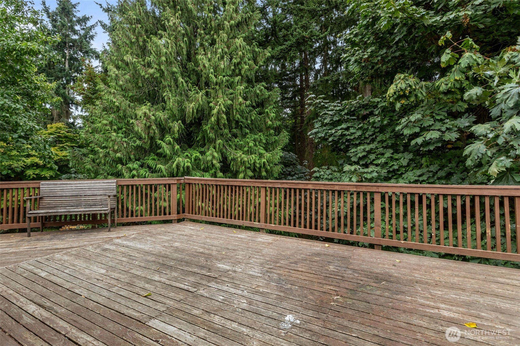 19217 46th Avenue Property Photo 34