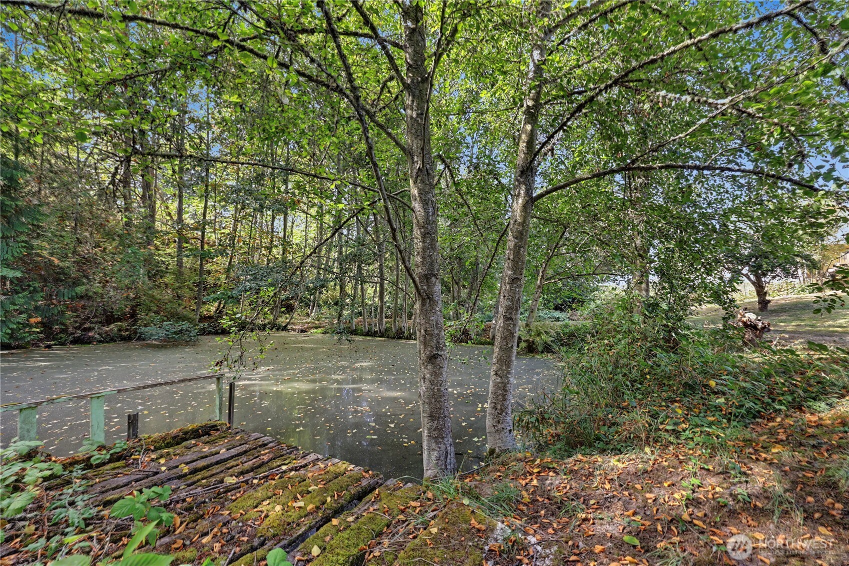 62 Roupe Road Property Photo 24