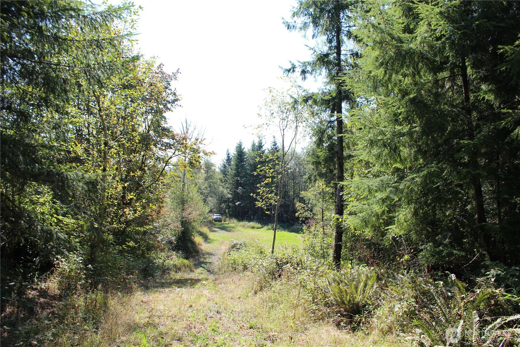 0 Lot E Ravenwood Drive Property Photo 4