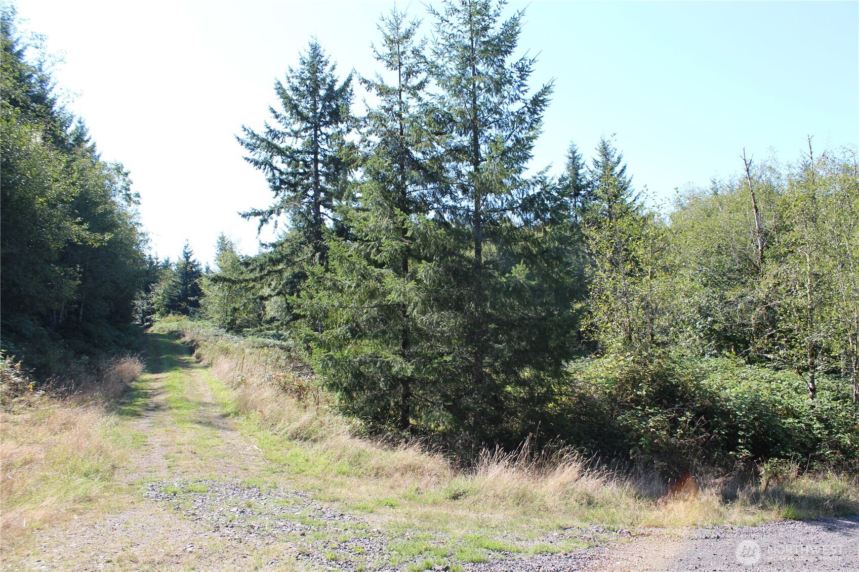 0 N Lot H Bodine Road Property Photo 2