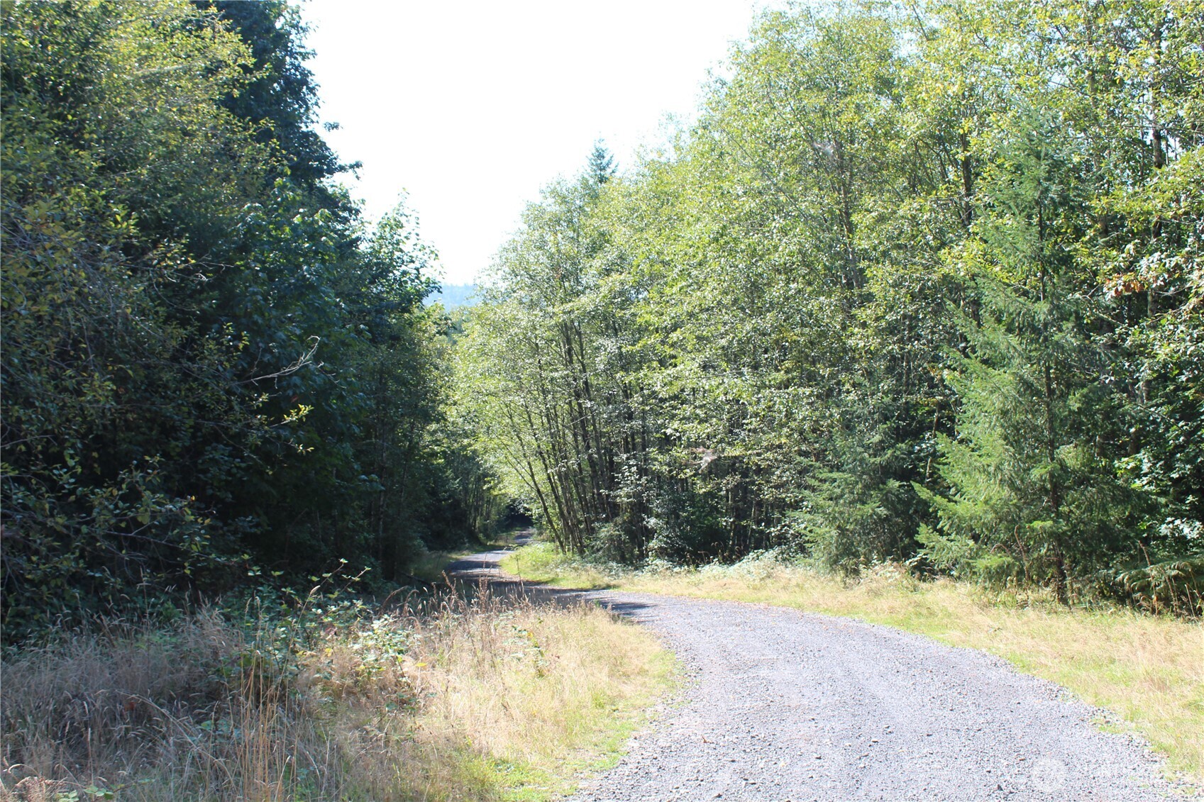 0 N Lot H Bodine Road Property Photo 3