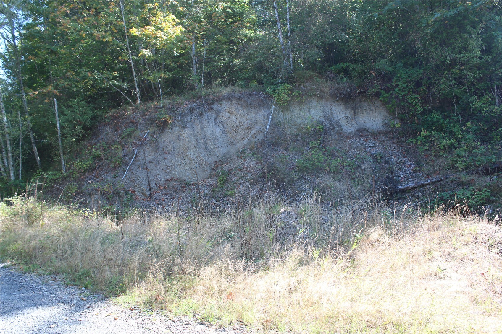 0 N Lot H Bodine Road Property Photo 4