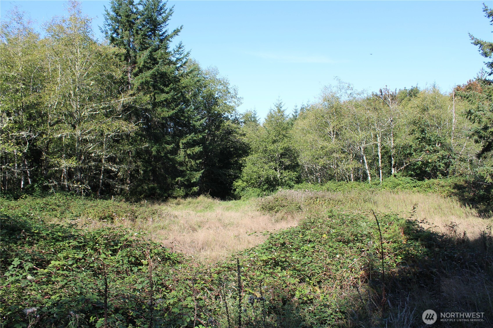 0 N Lot H Bodine Road Property Photo 6