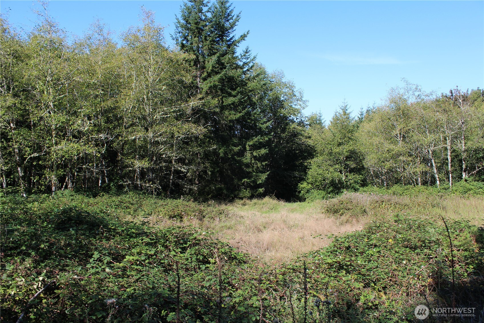 0 N Lot H Bodine Road Property Photo 7
