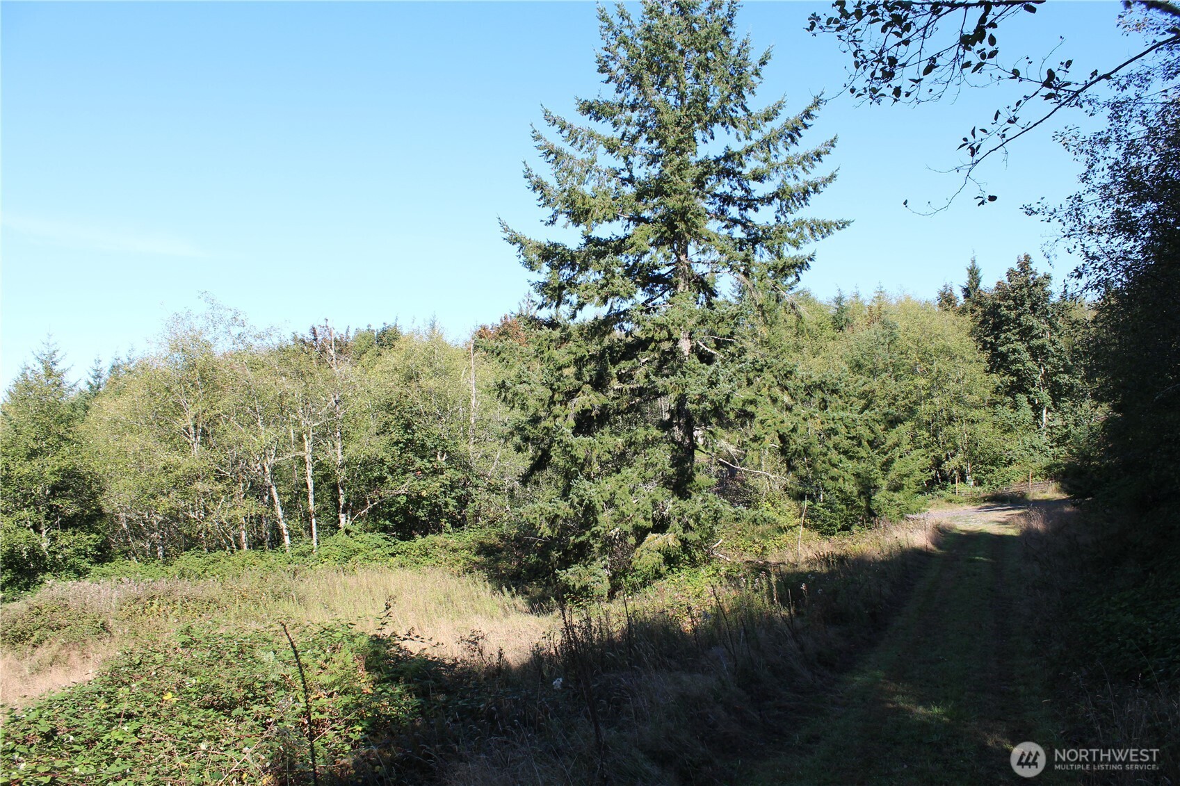 0 N Lot H Bodine Road Property Photo 8