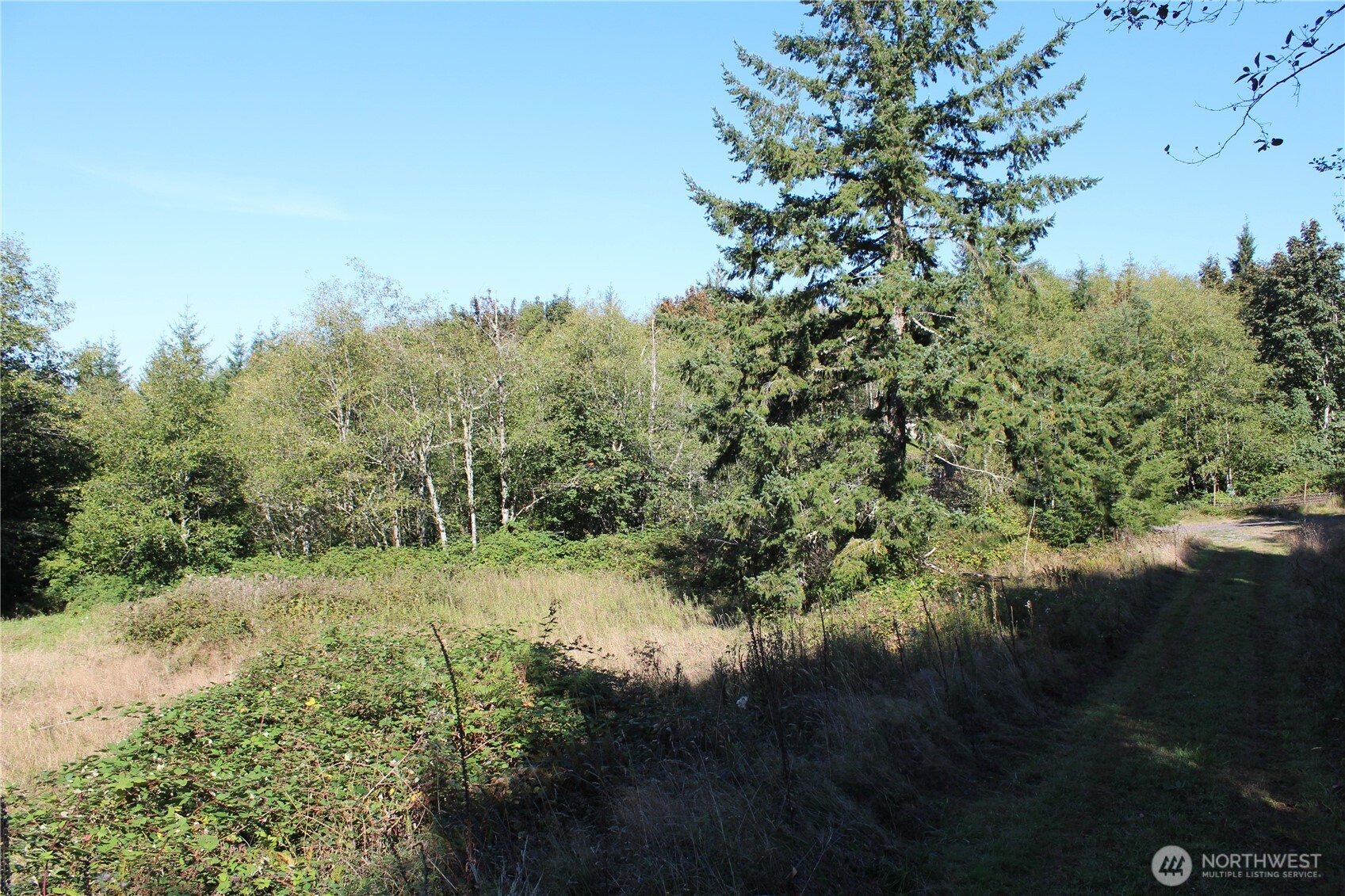 0 N Lot H Bodine Road Property Photo 30