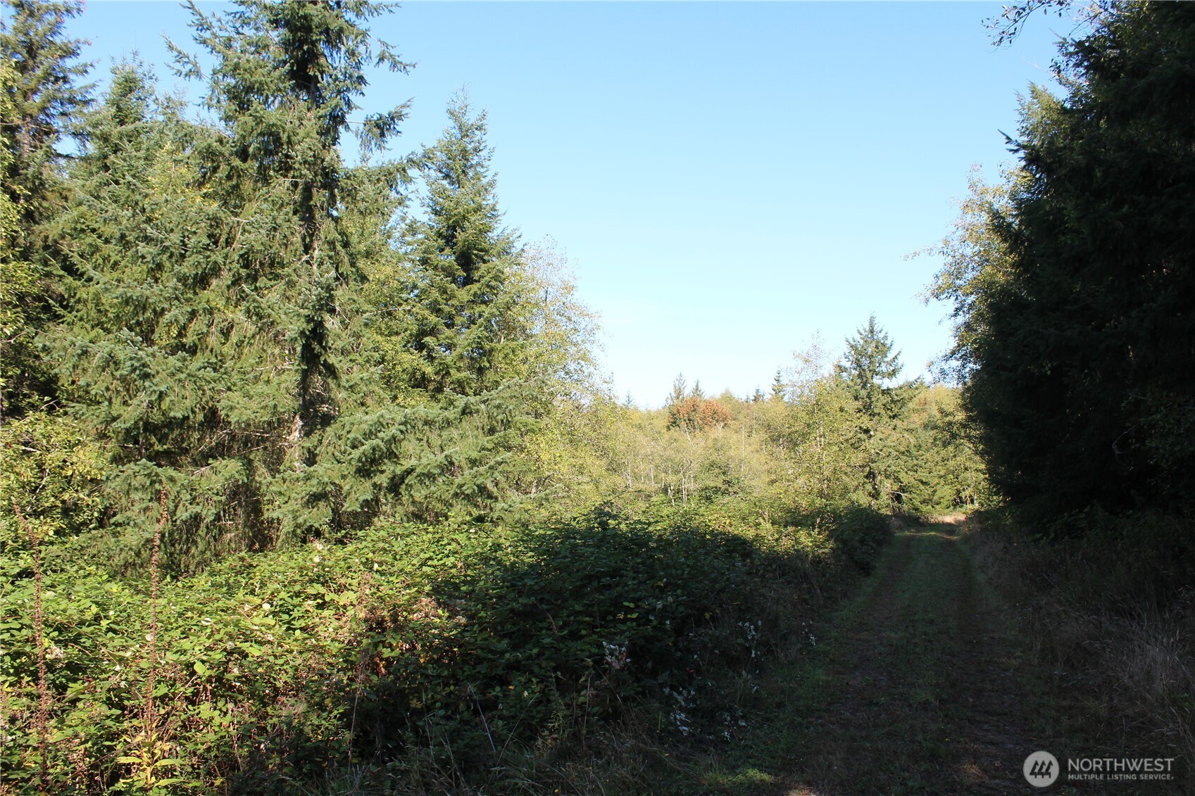 0 N Lot H Bodine Road Property Photo 31