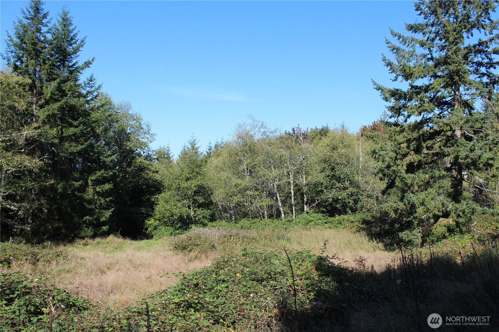 0 N Lot H Bodine Road Property Photo 32