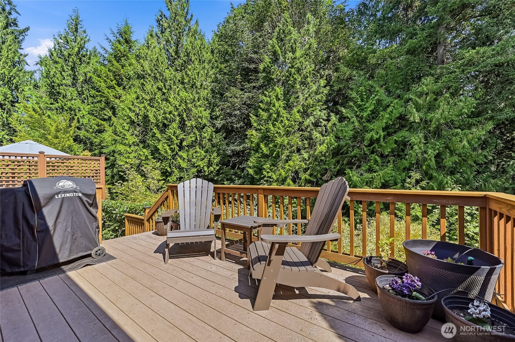 12026 Big Leaf Way Property Photo 30