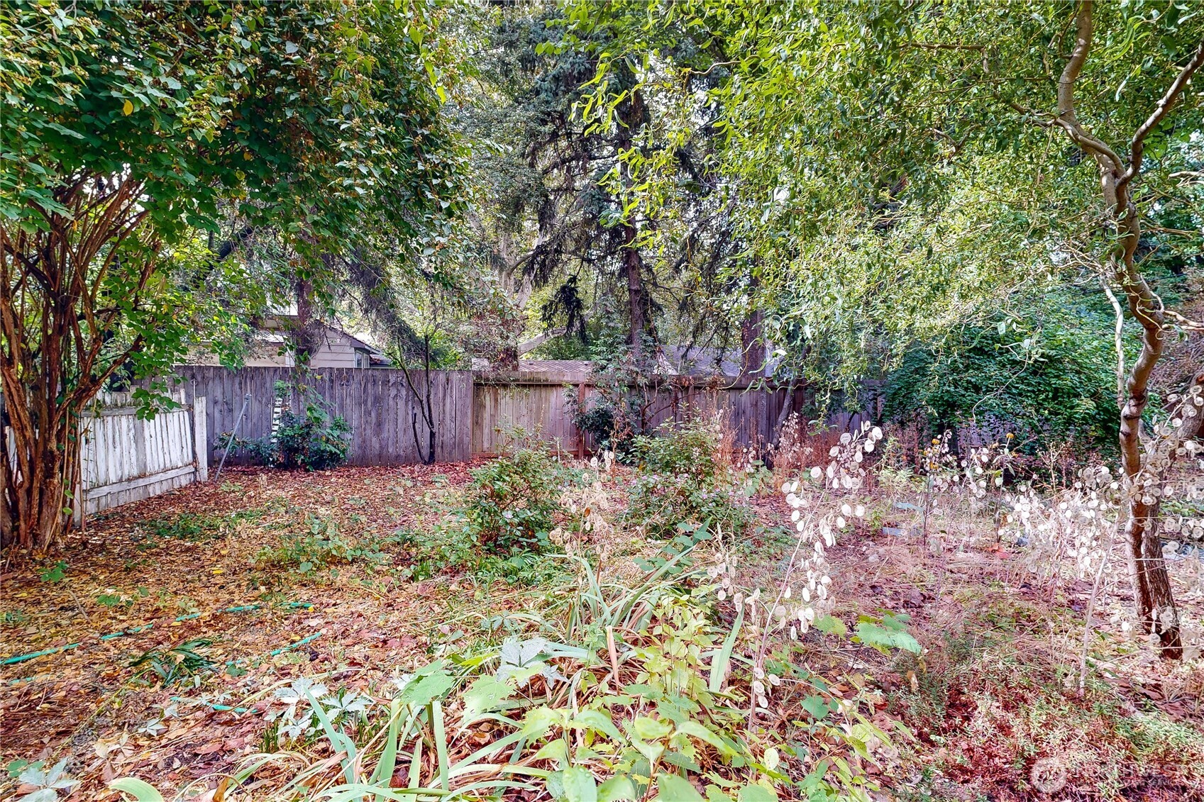 1227 Alvarado Terrace Property Photo 15