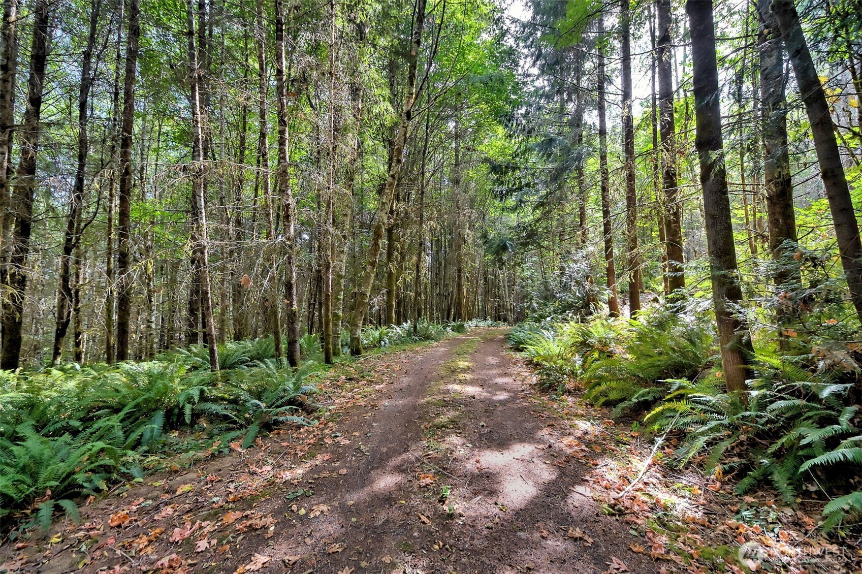 1010 Se Binns Swiger Loop Road Property Photo 36