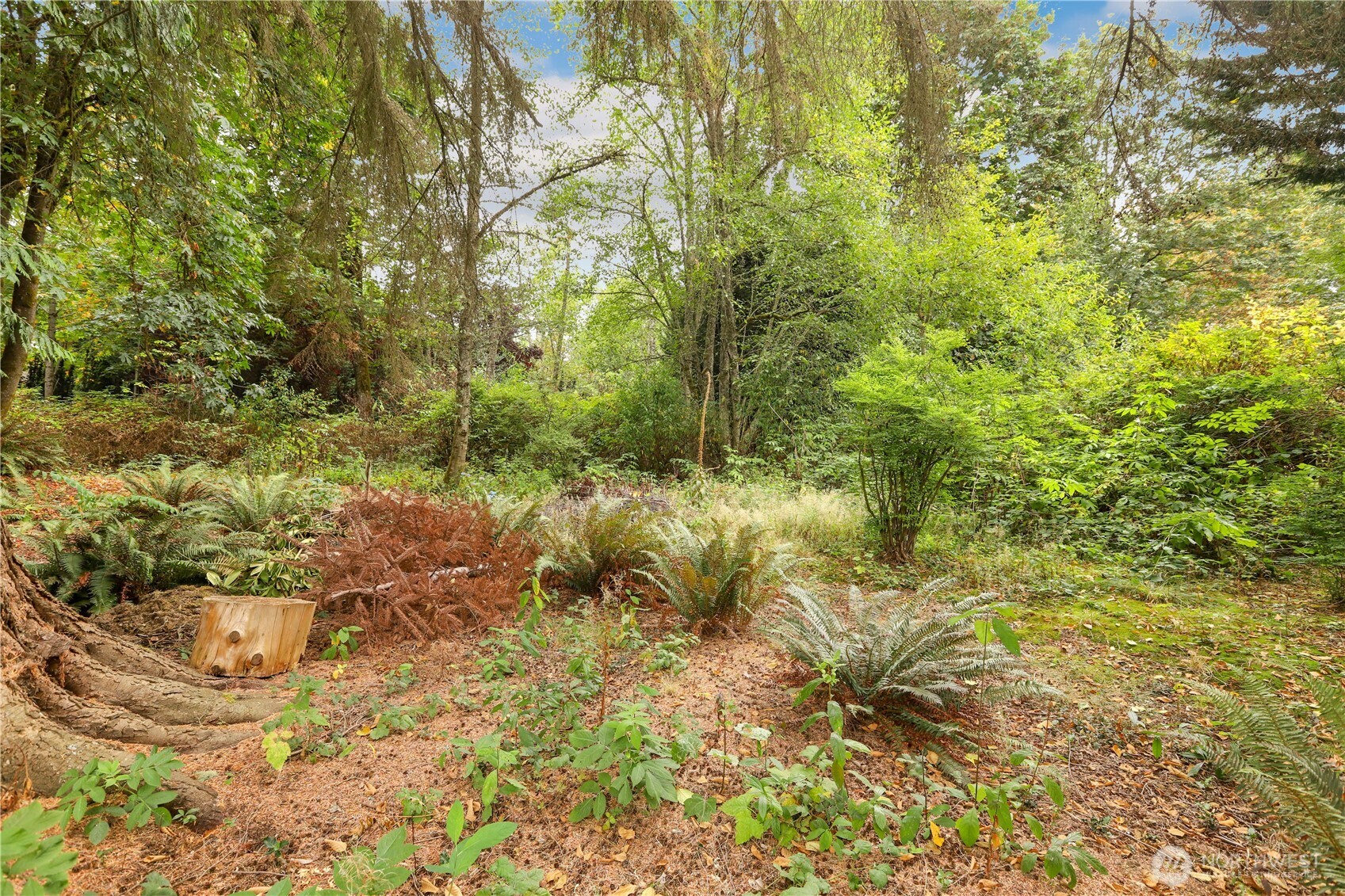 11712 4th Avenue Property Photo 33