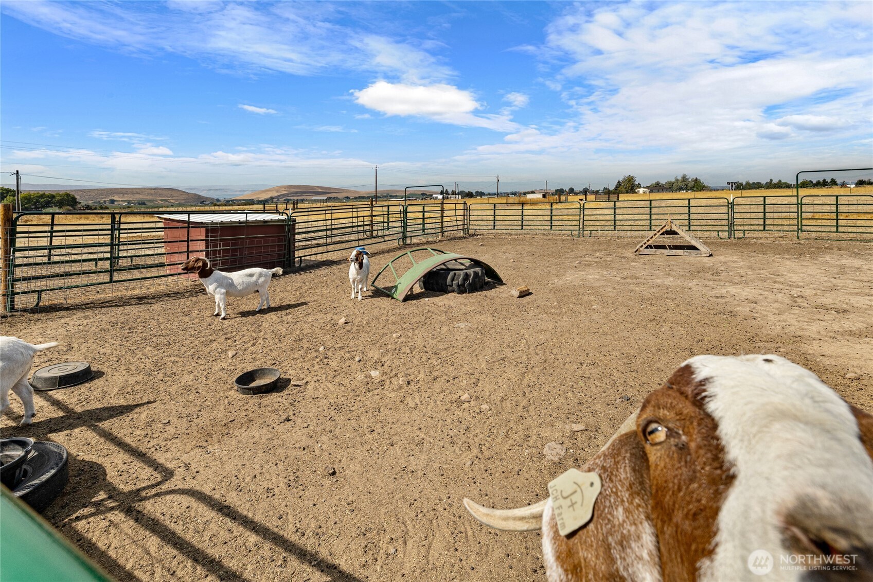 17270 Vantage Highway Property Photo 26