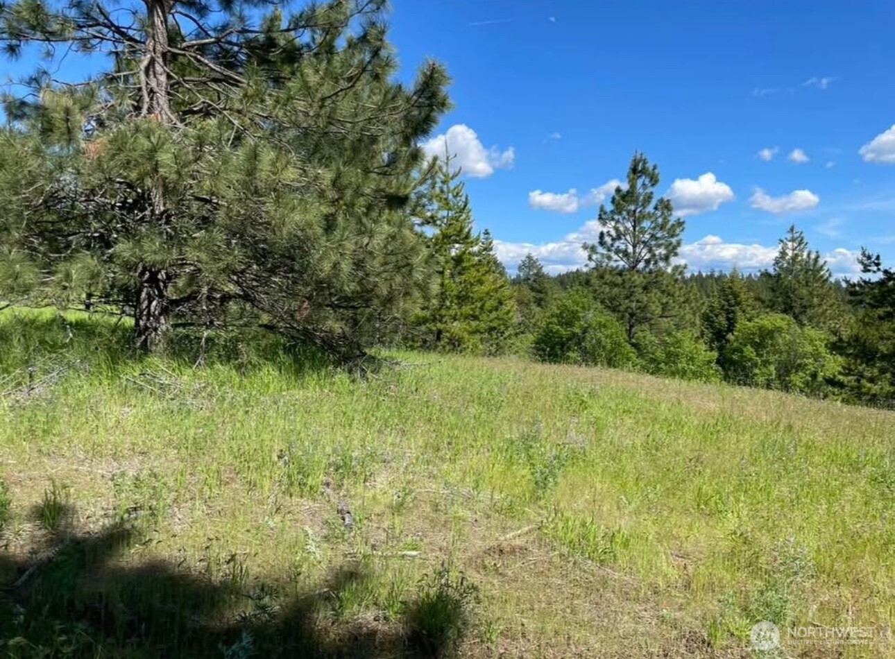 4401 Whittier Road Property Photo 3