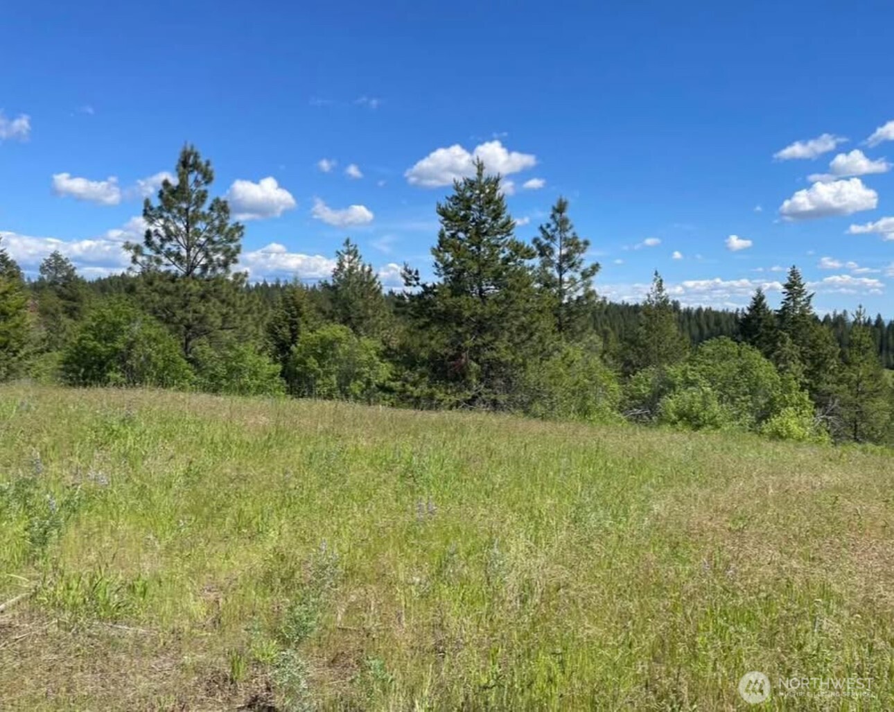 4401 Whittier Road Property Photo 4