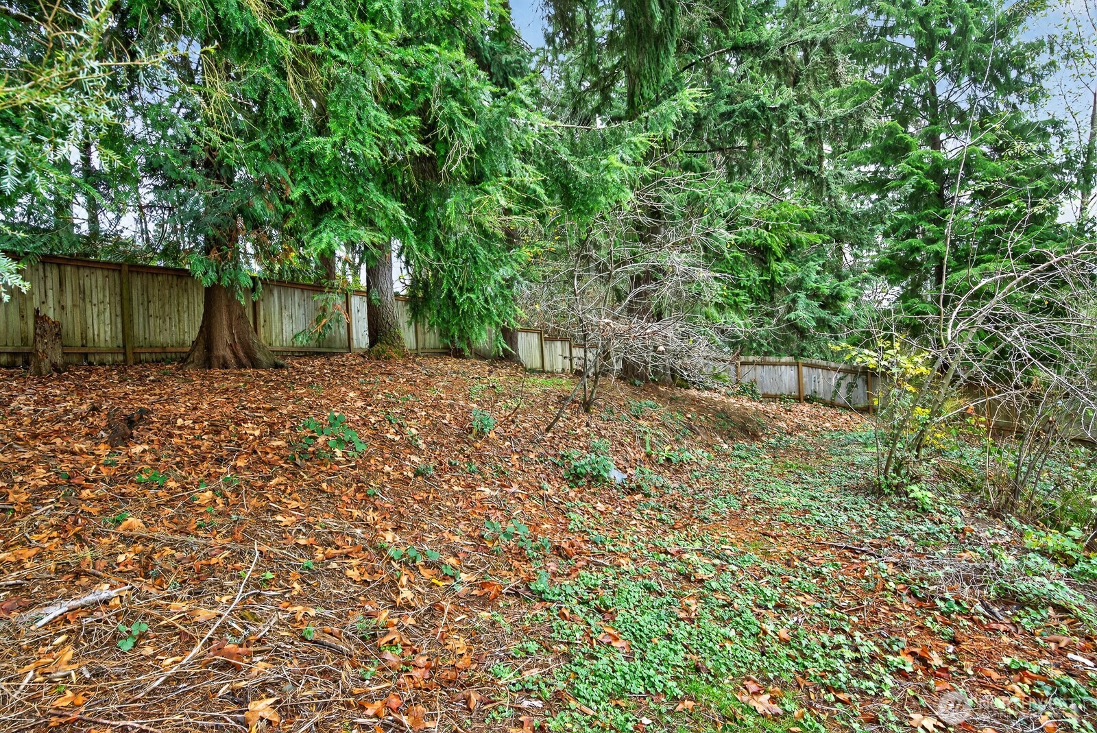 14116 60th Avenue Property Photo 33