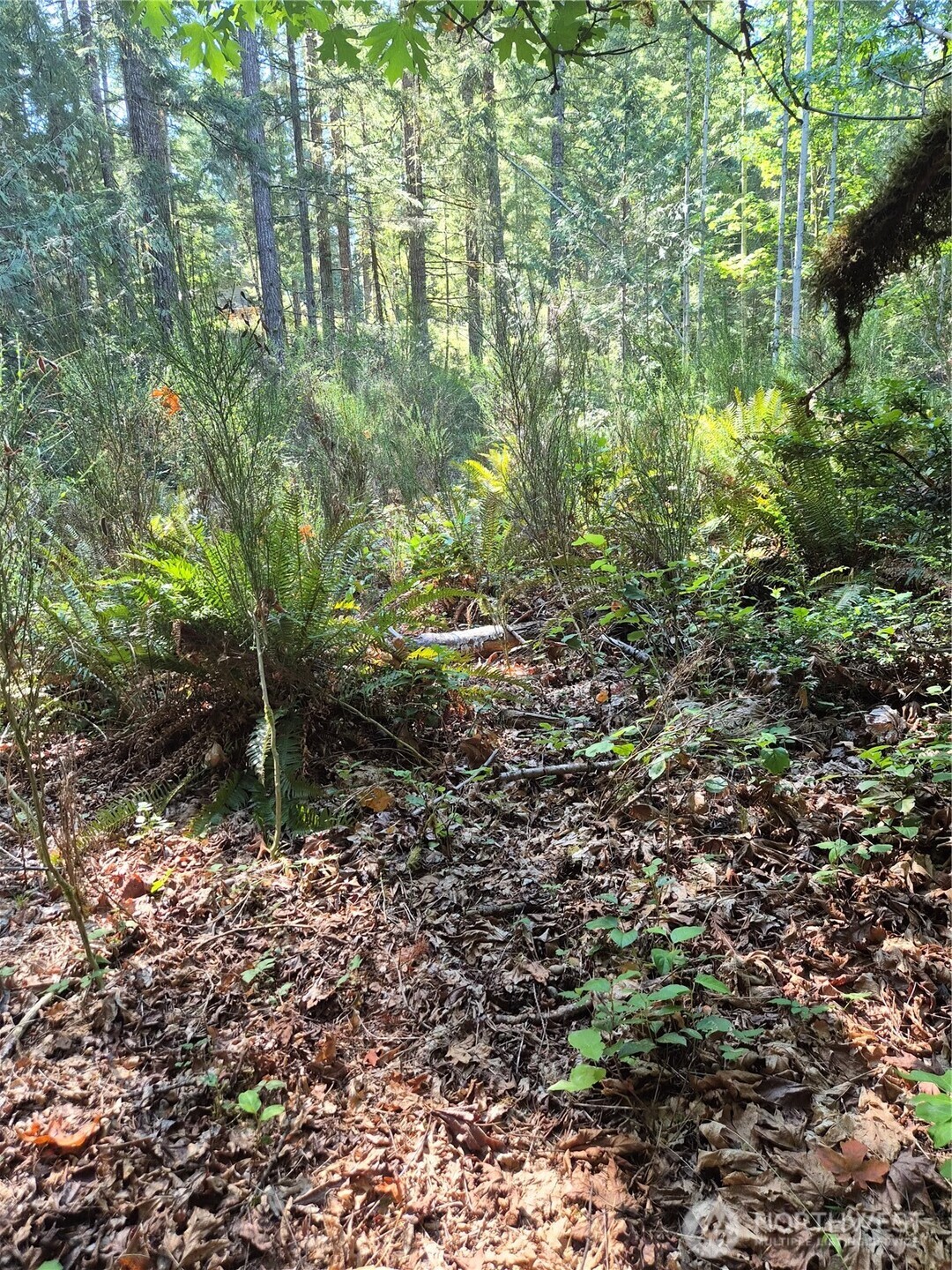 2755 Lost Creek Lane Property Photo 1