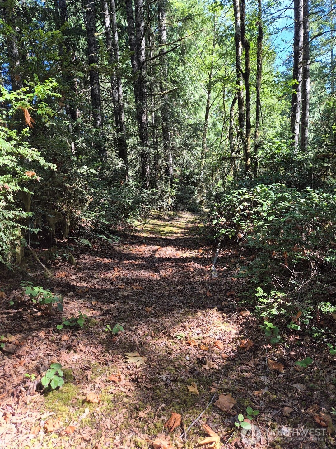 2755 Lost Creek Lane Property Photo 2