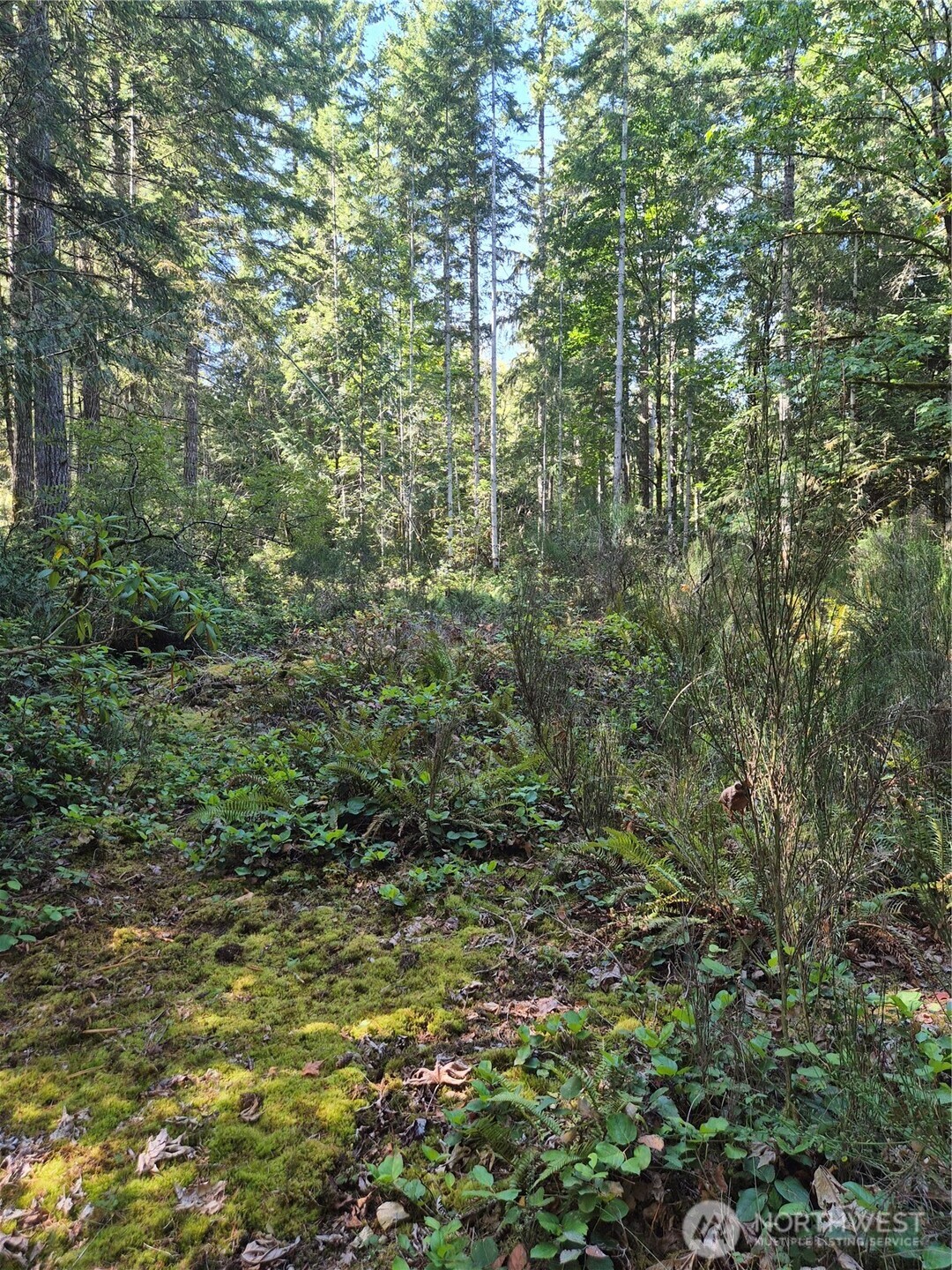 2755 Lost Creek Lane Property Photo 3