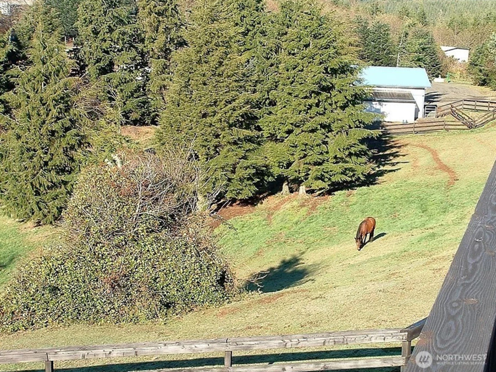 20 Jacalyn Lane Property Photo 9