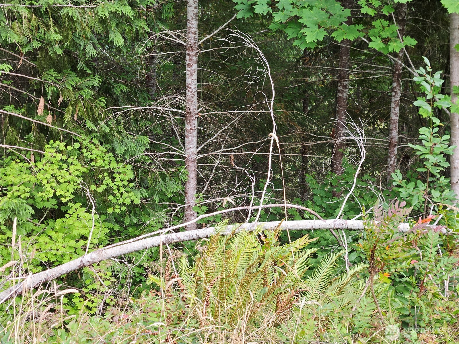 390 W Satsop Drive Property Photo 2