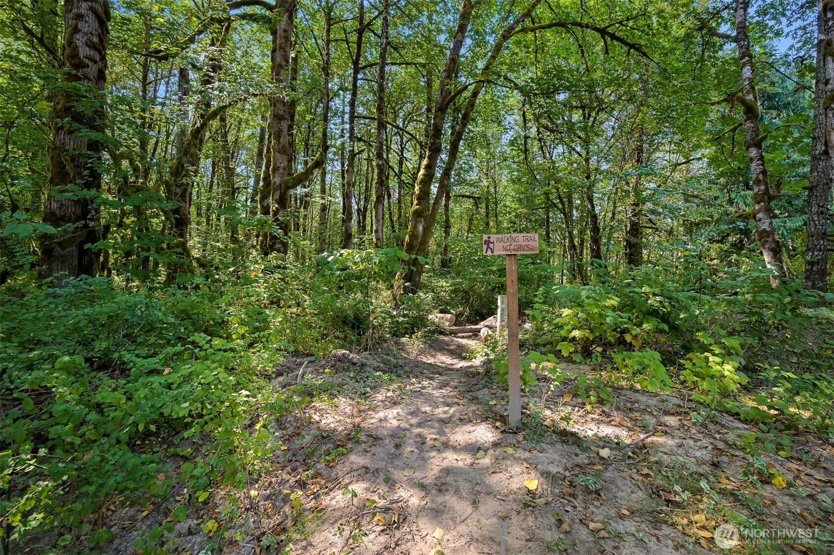 9364 Thunderbird Lane Property Photo 17