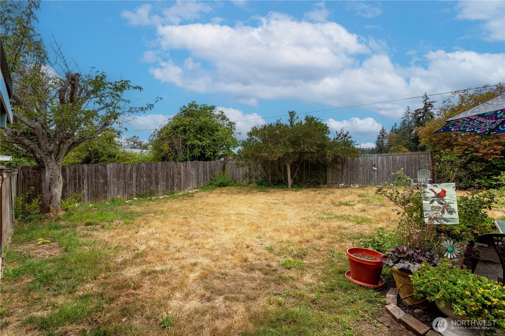 31610 7th Place Property Photo 20