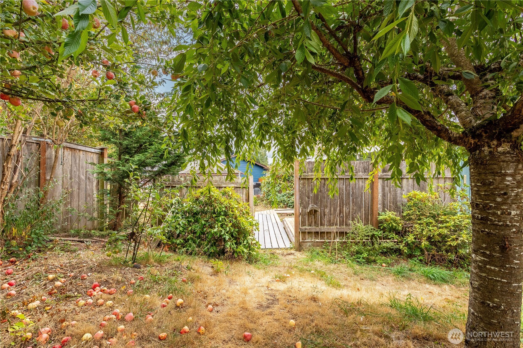 31610 7th Place Property Photo 27