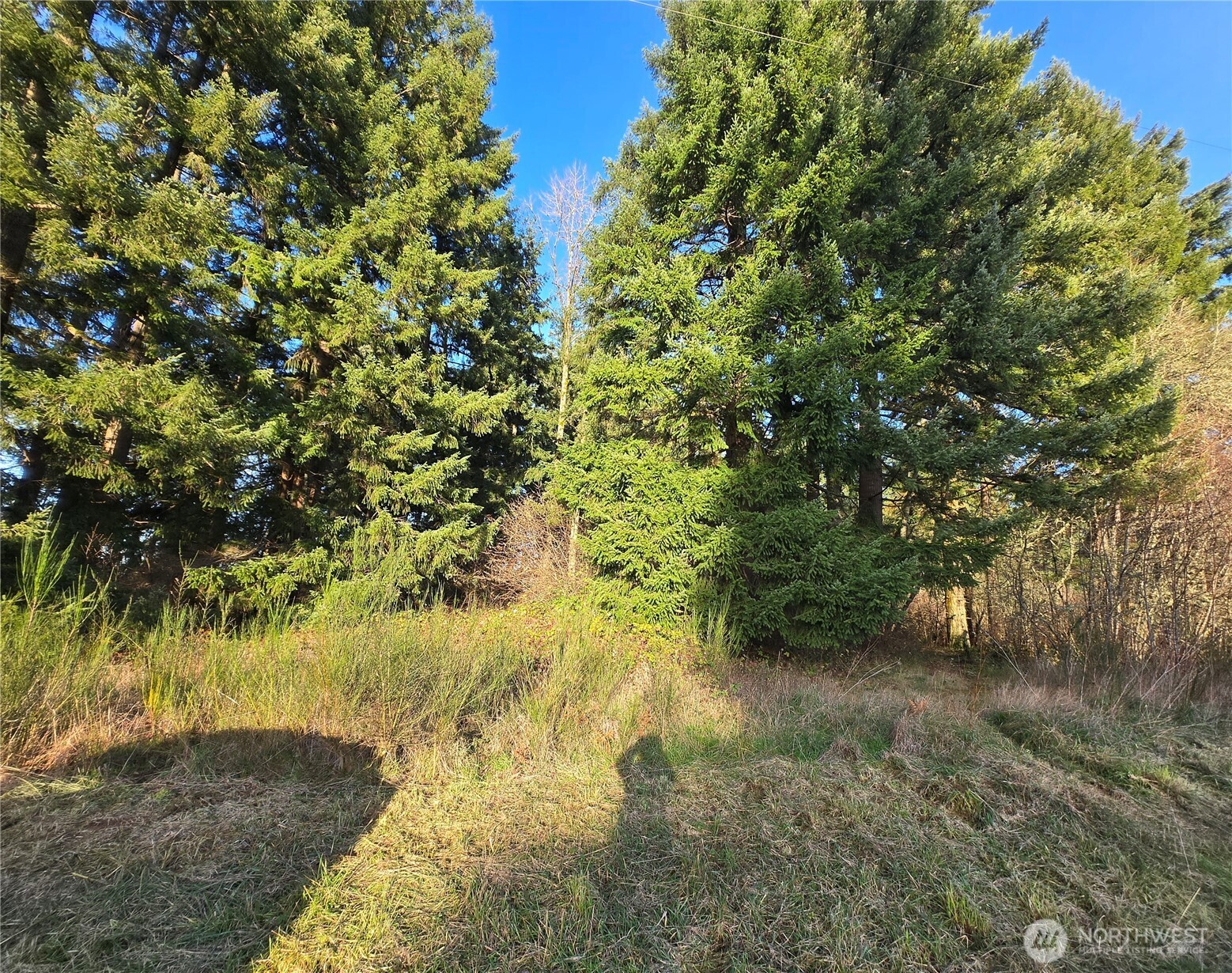 0 Clinton Road Property Photo 1