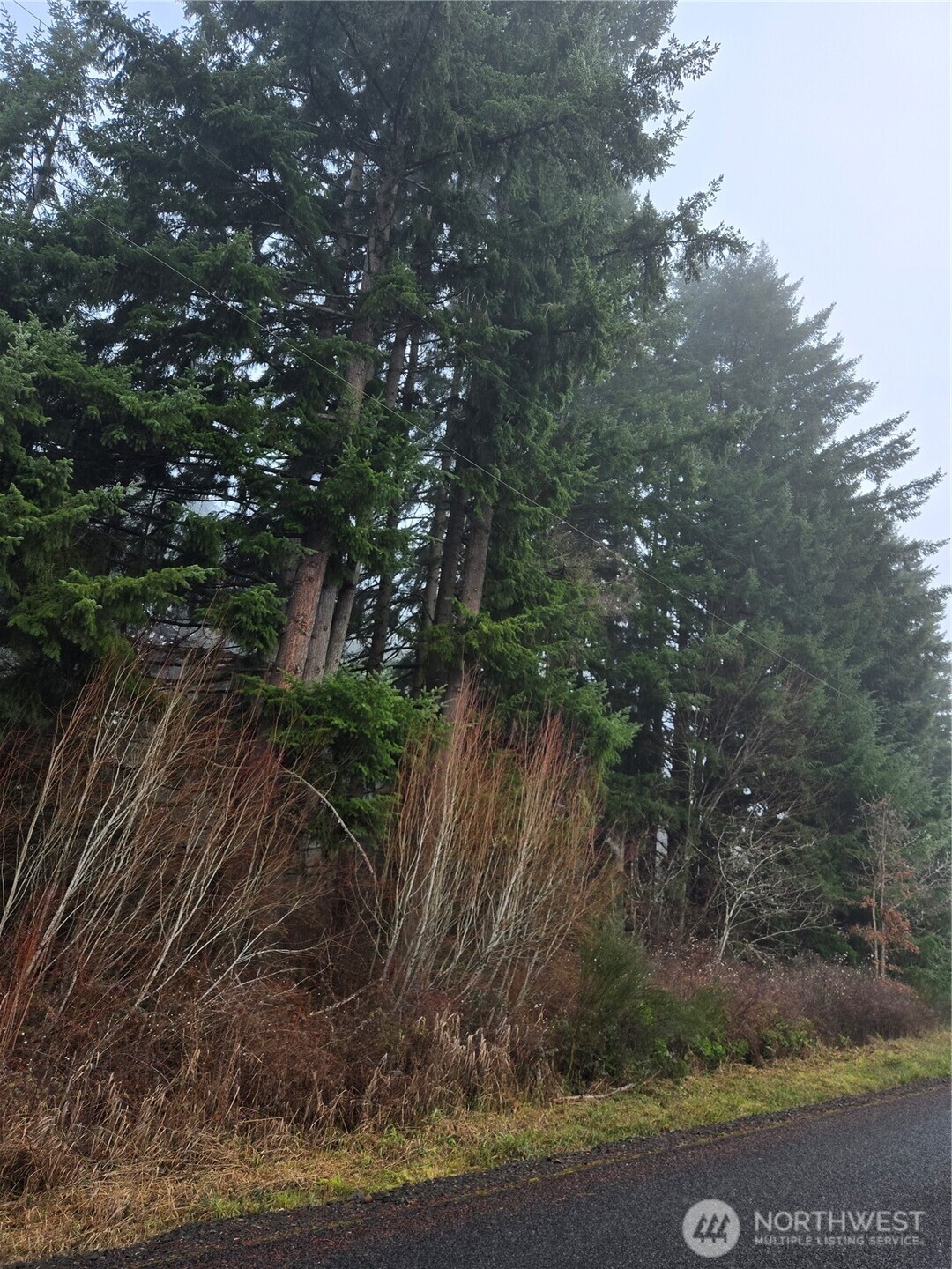 0 Clinton Road Property Photo 3