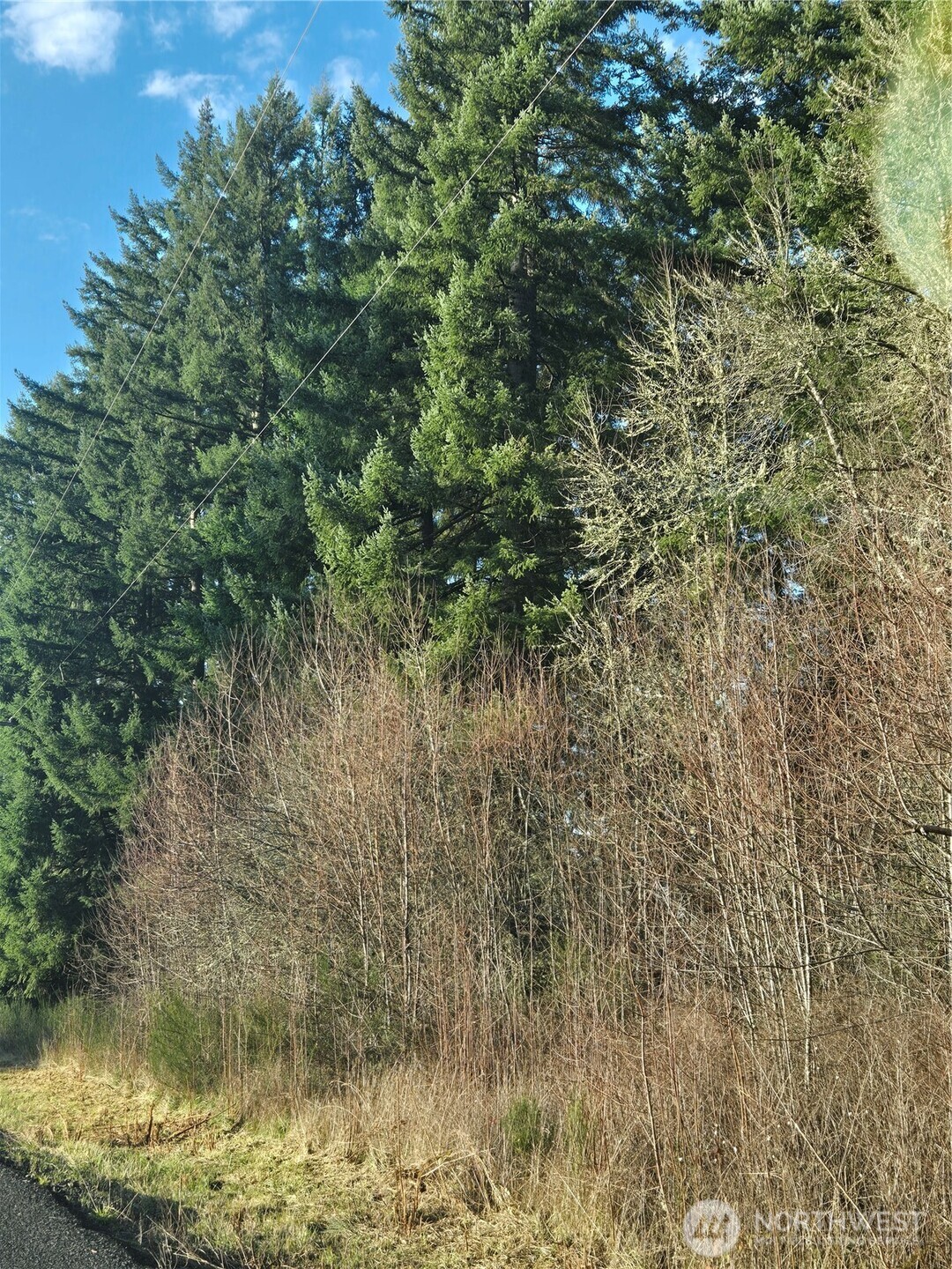0 Clinton Road Property Photo 6