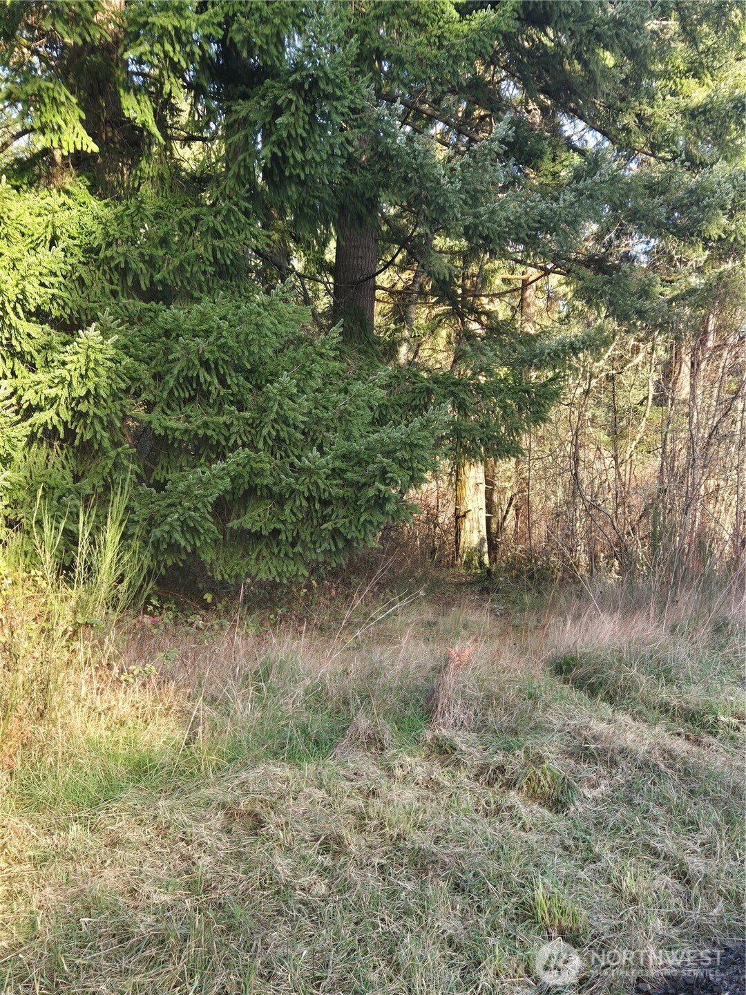 0 Clinton Road Property Photo 7