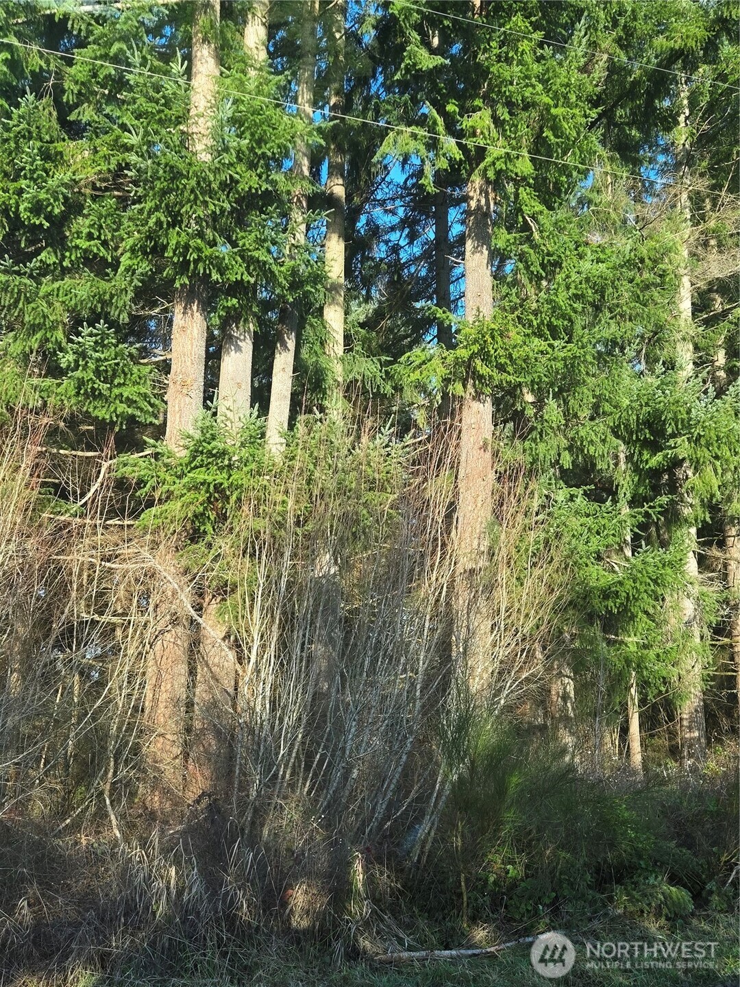 0 Clinton Road Property Photo 11