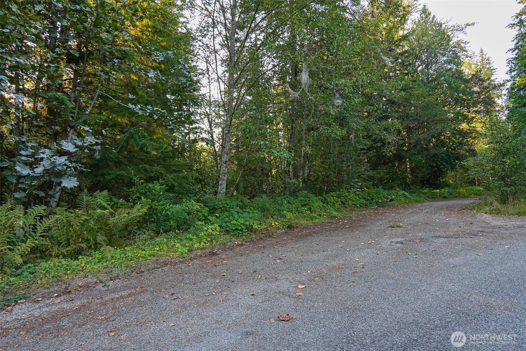 7581 Glacier Springs Drive Property Photo 4