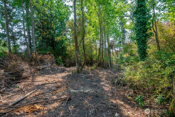 0 Xxx Stephen Street Property Photo 7