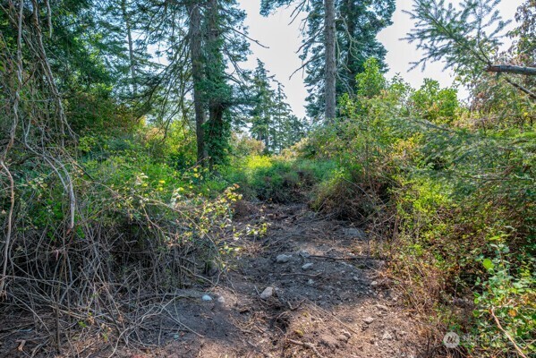 0 Xxx Stephen Street Property Photo 9